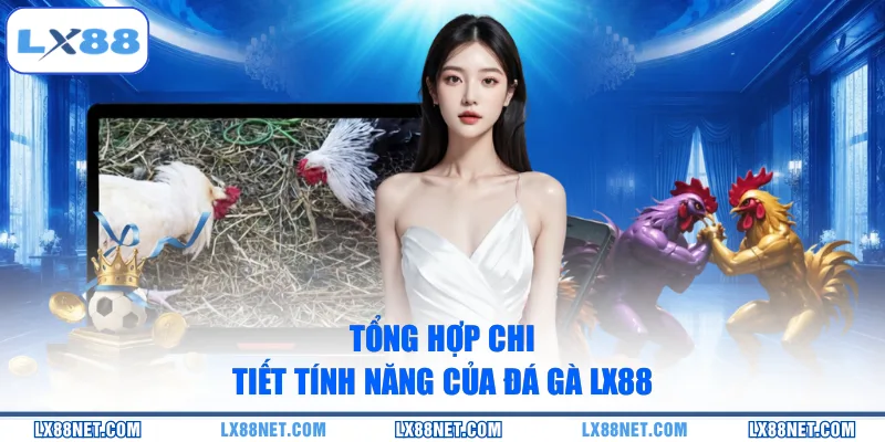Tổng hợp chi tiết tính năng của đá gà LX88